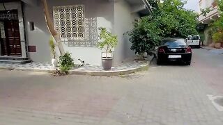 The stray ginger cat approaches me every time and is friendly.