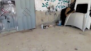 Homeless cats were so cute and wanted to get lots of love.