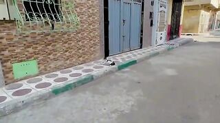 The stray cat wants to mate, even if it is by slapping the female Cat.