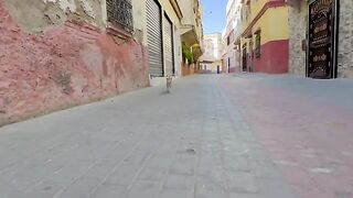 The stray ginger cat loves to put his face a lot in front of the camera.