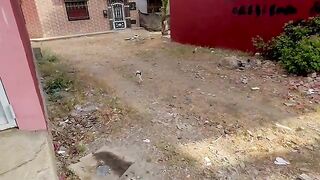 A cat with adorable eyes, she and her friend want to get love and food.