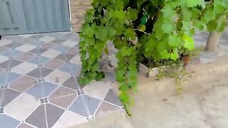 A cute stray cat without a tail with different and adorable eyes.