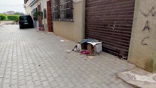 Mama the cat wasn't hungry but she was happy cleaning up her kitten area.