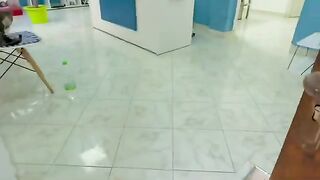 The cat sitting at the vet clinic is very cute.