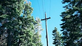 McLaren P1 on Backroads