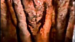 Wait for end monster #horrorjunkie #scary #creepy #monster