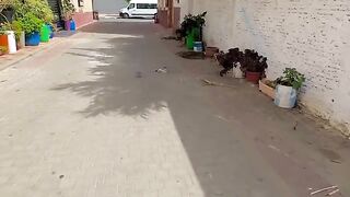 Mama Cat didn't want to share food with her kittens.