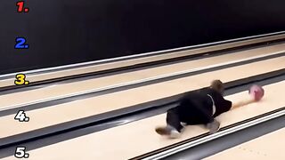 Ranking_Best_Bowling_Fails