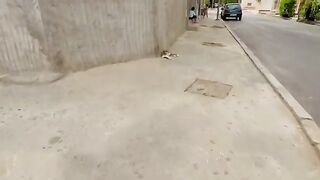 This stray cat's attention wasn't just about food, he wanted to get lots of love.