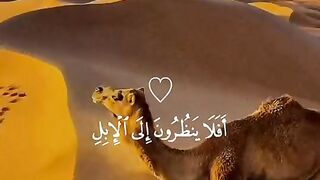 القران