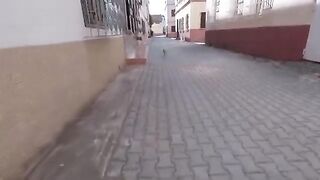 Stray cats have been my friends since they were little.