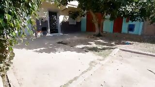The stray dog ​​was cute and eager to get food.