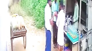 Wild Elephant Suddenly Attacks Tea Stall #shocking #elephantattack #animalattack