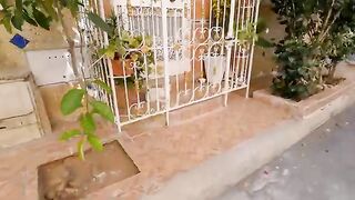 The stray cat attacked her friend who came to eat.