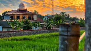 ASRM AUDIO PEDESAAN SENJA