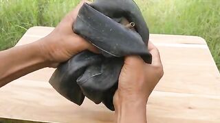 পাখি ধরার পদ্ধতি শিখুন সম্পূর্ণ ভিডিওটি দেখুন