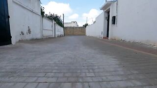 A couple cute cats ran to me upon hearing the food server's voice.