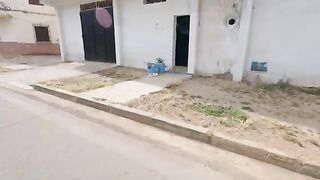 The stray cat is very excited, but she can't wait for mealtime.