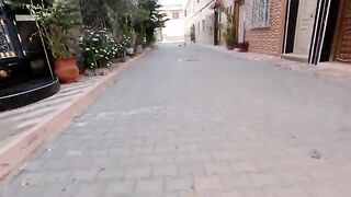 Mama Cat said something to her shy kittens until she came out to her side.