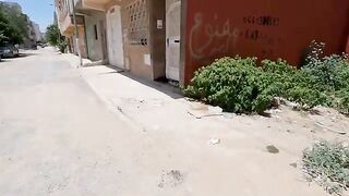 The two cats taking a nap one of them was very timid.