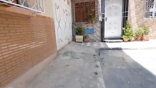 Papa cat and Mama cat take care of many calico kittens.