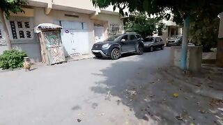 The white cat meows louder than his big-nosed girlfriend