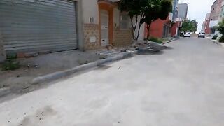 The stray dog ​​is shy of men and Cute with the ladies.