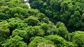 সত্য ঘটনা 1950 সালের