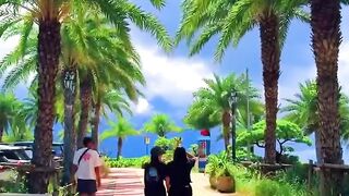 Imagine you are spending your days in Okinawa