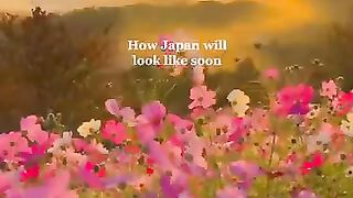 Autumn in Japan is beautiful ????