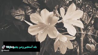 دعاء جميل بصوت جميل