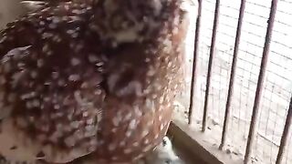 Mother children