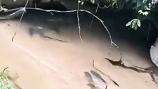 Halo2 Banjir