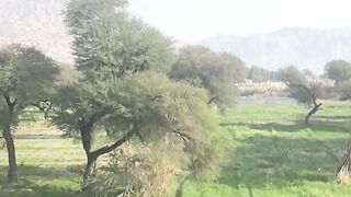 Travling to hometown