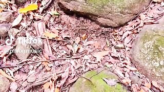 Surprise