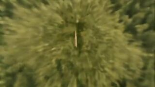 Pass it on to a friend who's been annoying you...