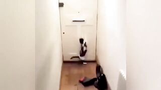 Best funny cat videos ever