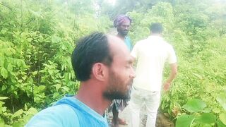 Scenic Mountain Road Through Nature