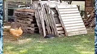 #funnyvideos???????????????? #funny???????????????? #funnymoments #humortiktok #humor