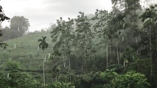 See more information