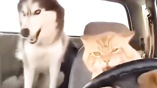 How was the driving?