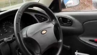 Transform your car's steering wheel into a marine world! Feel like you're driving at the bottom of the ocean.