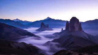 Melekê Fîdakariyê (Official Video) #kurdishmusic