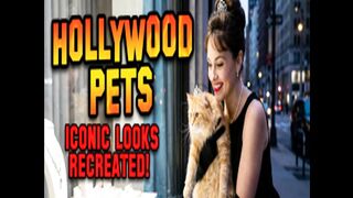 The Celebrity Pet Challenge: Who Wore It Best?