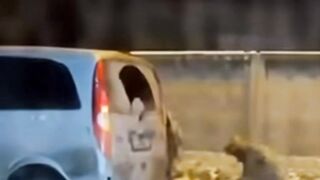 Society is once again debating cases of violence and lawlessness inside the country.