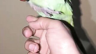 Sitting on the hand