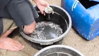 Sekelas SENIOR pun belum tentu TAU❗Tips cara BELI bibit lele