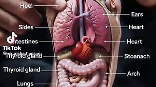 What Foot Massage Really Means