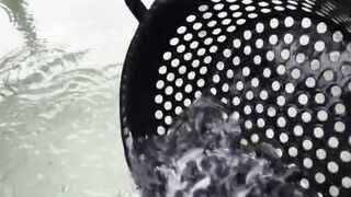 Bibit LELE ukuran ini yang AMAN ditebar dikolam TANAH