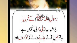 Shariat Ke Masail Seekhain